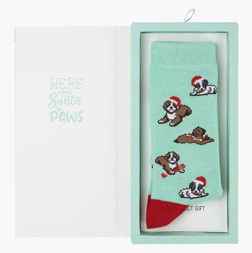 Bamboozld Sock Card - Chrissy Cavoodles