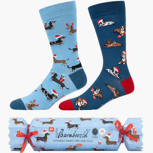 Bamboozld Xmas Cracker - Dashing Boy | 2-PACK